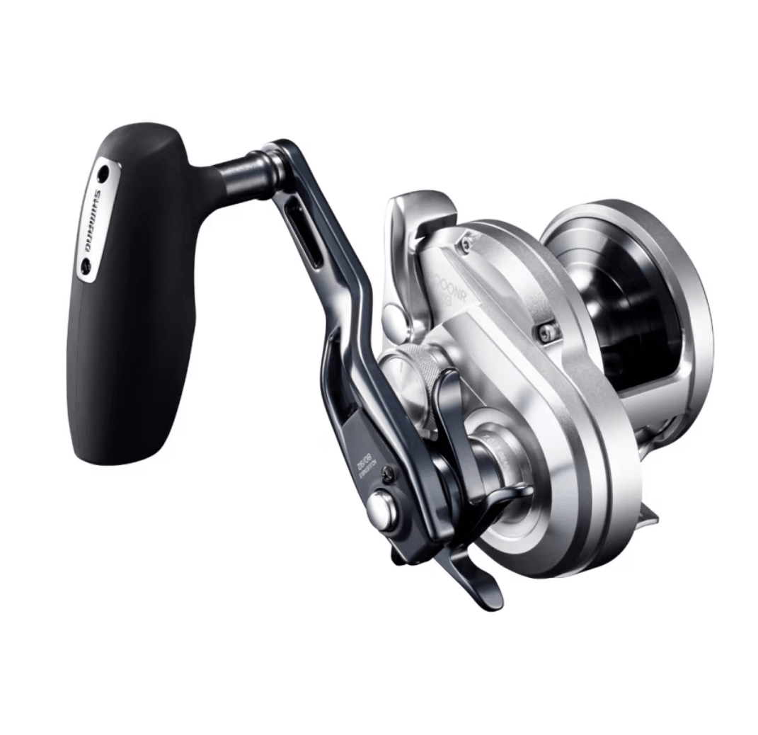 Shimano Ocea Jigger F Custom Carrete Jigging