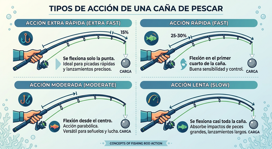 ¿Qué es la acción de una caña de pescar?
