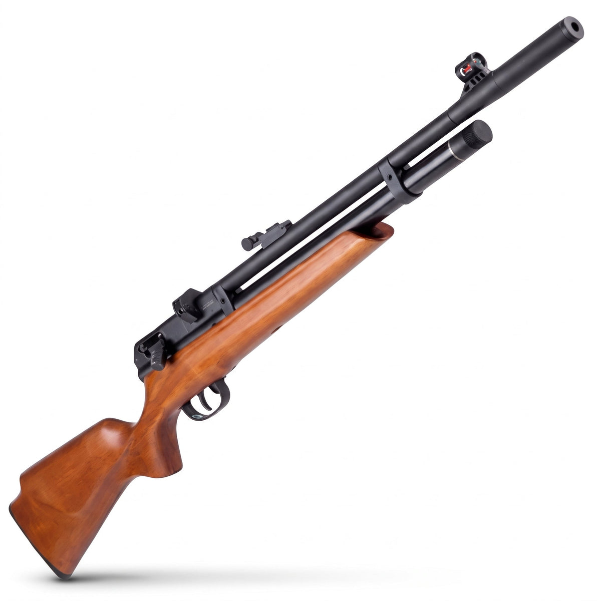 RIFLES