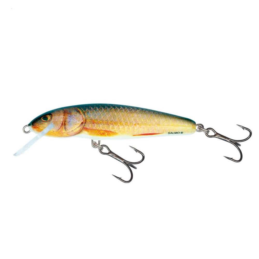 Salmo Minnow 7 Señuelo Flotante