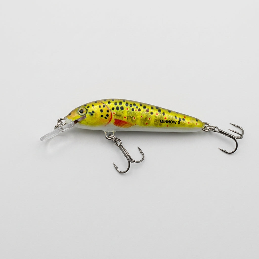 Salmo Minnow 7 Señuelo Flotante