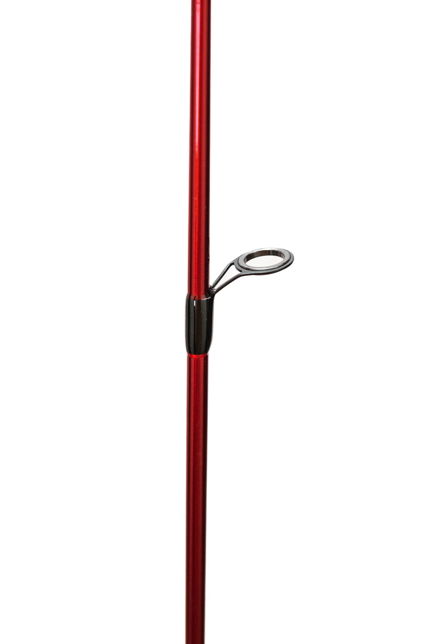 https://elsenuelo.cl/web/wp-content/uploads/2023/05/TIN1963-scaled.jpg