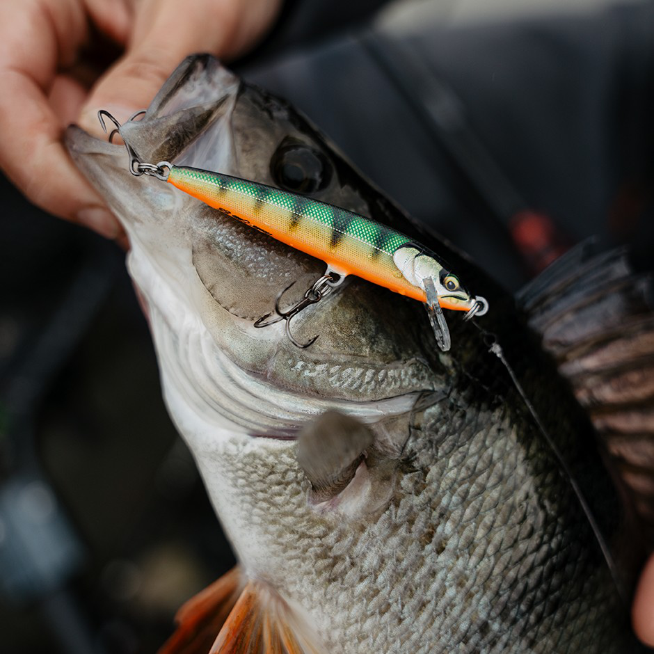 Señuelo Flotante Rapala Floater Elite Balsa Durable Acción Minnow Lanzamiento Largo