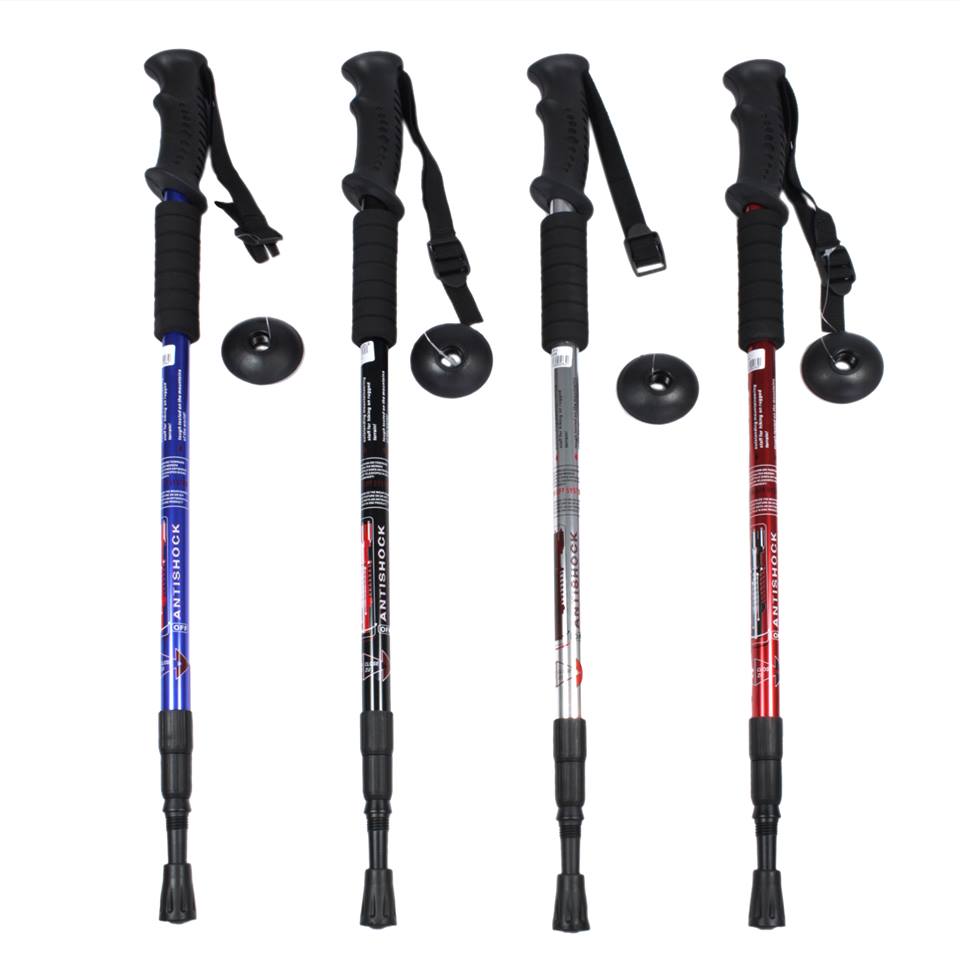 https://cdn.shopify.com/s/files/1/0270/9051/8064/products/baston_trekking.jpg?v=1576265989